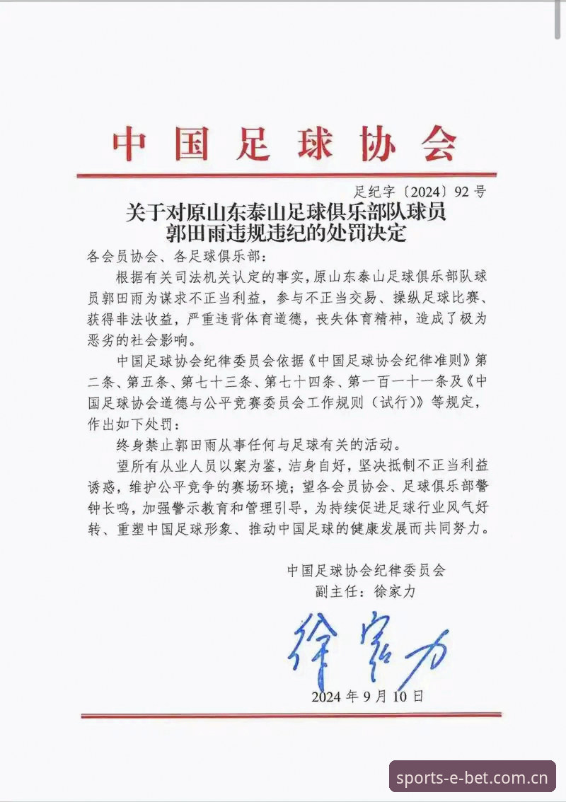 必博体育登录入口在哪必备 中国足球反腐风暴深度观察指南——从足协第三批禁足名单看行业变革趋势